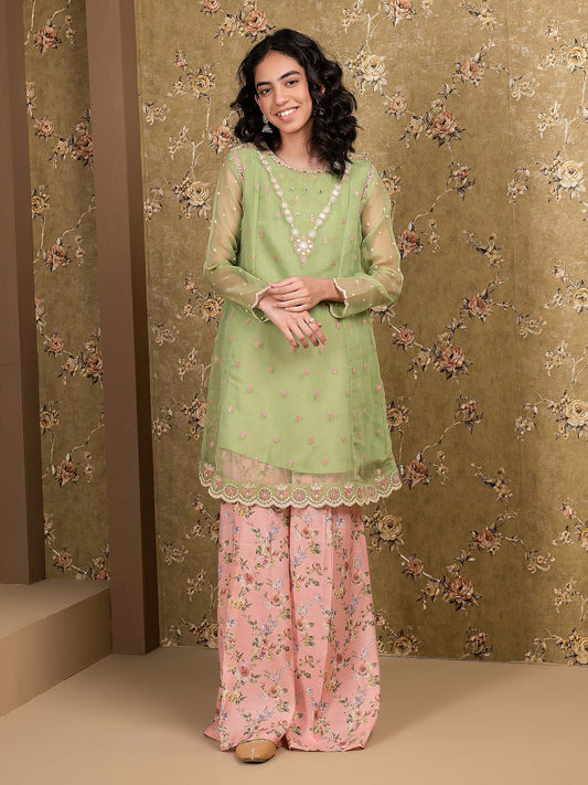 Embroidered Organza Suit