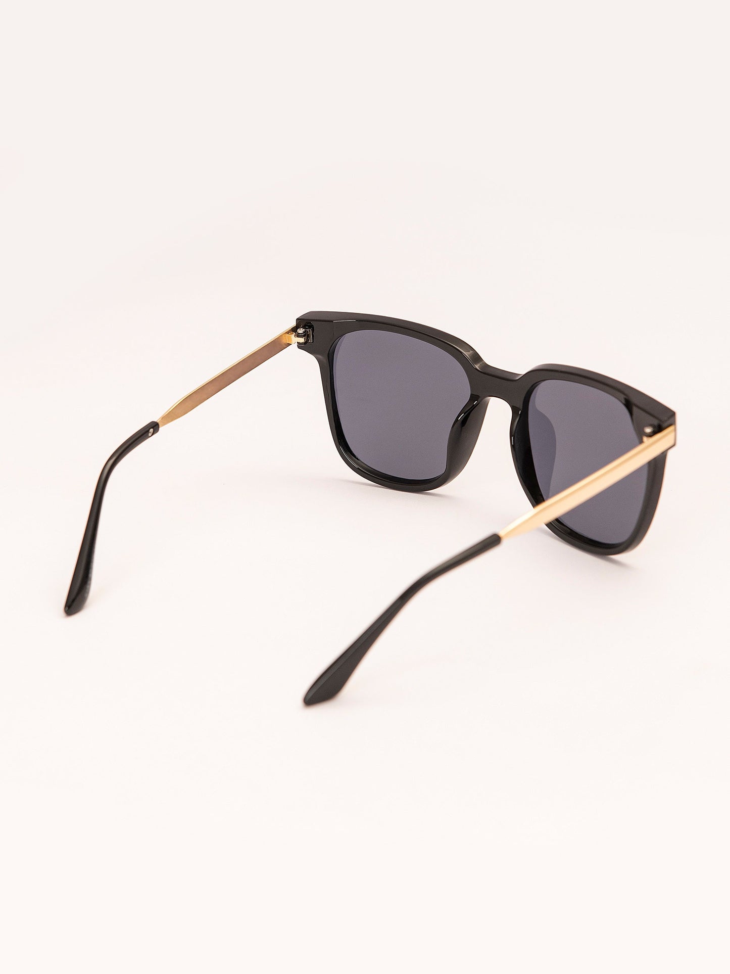 Wayfarer Sunglasses