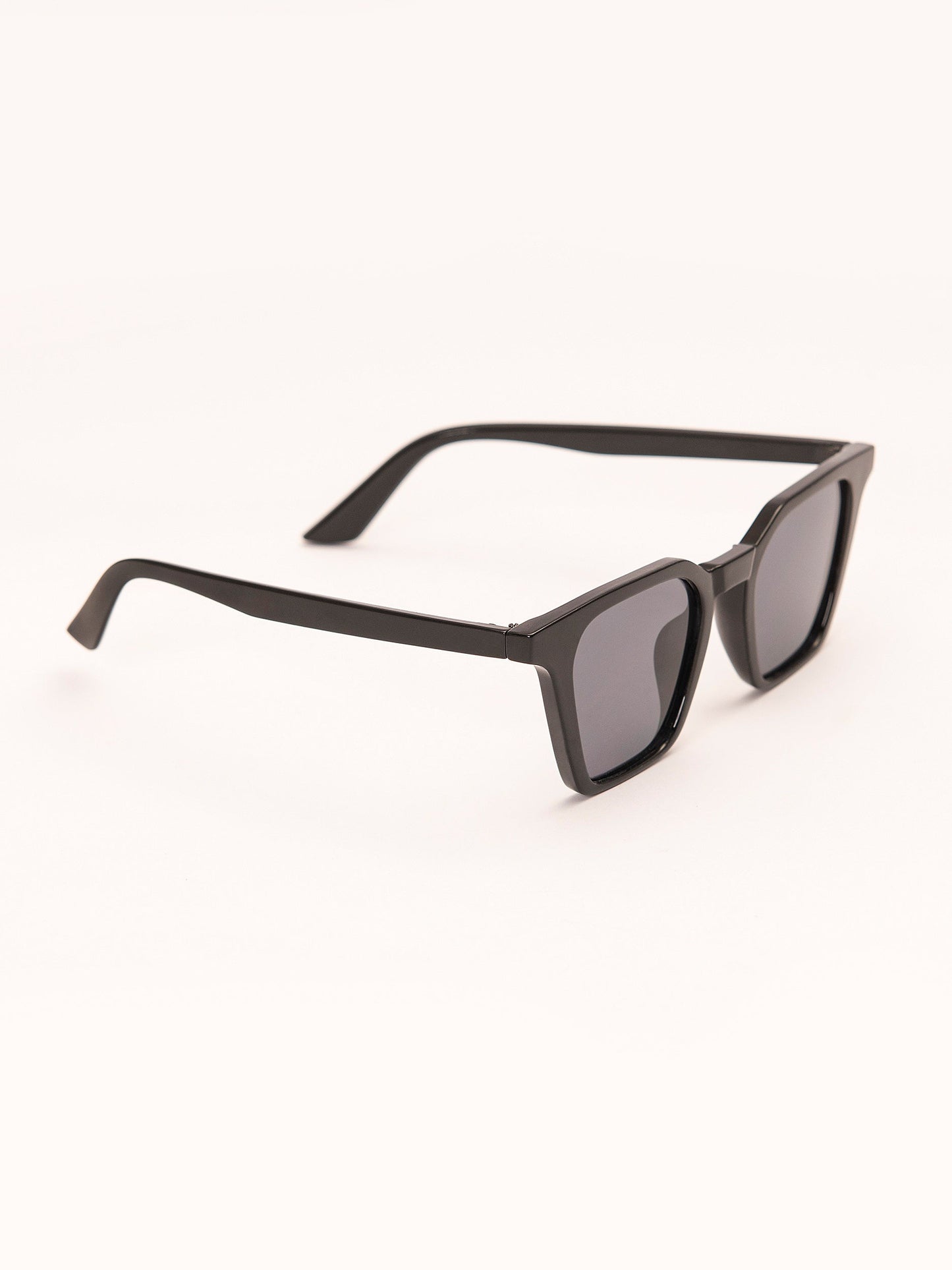 Wayfarer Sunglasses