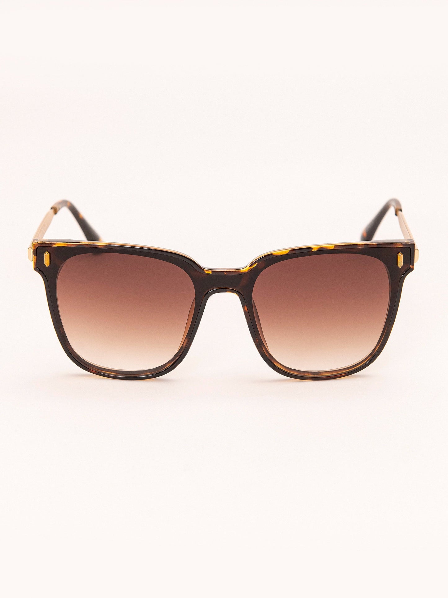 Wayfarer Sunglasses