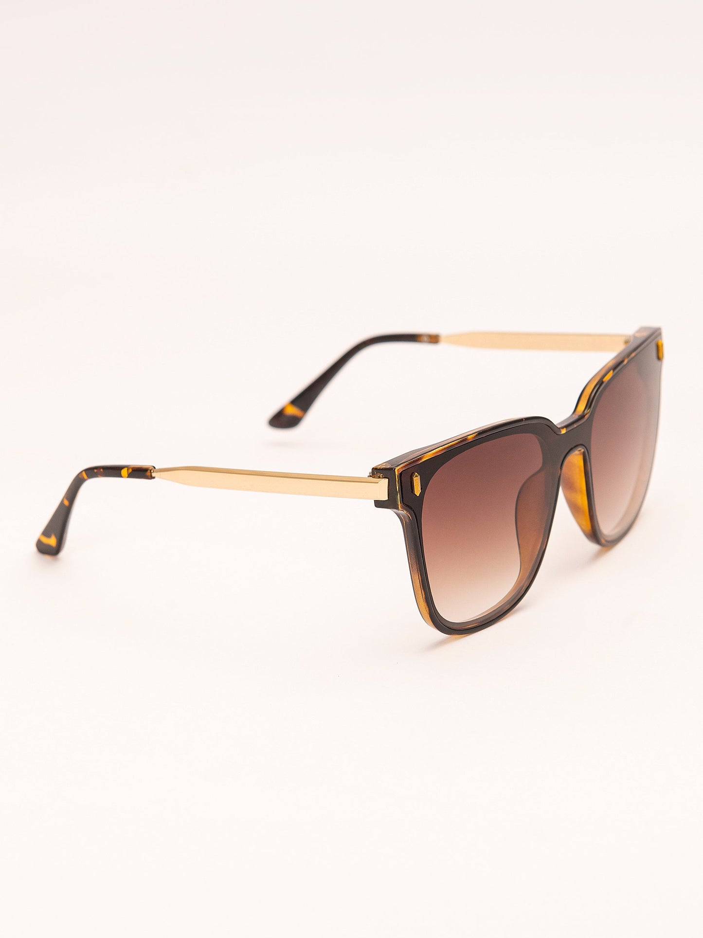 Wayfarer Sunglasses