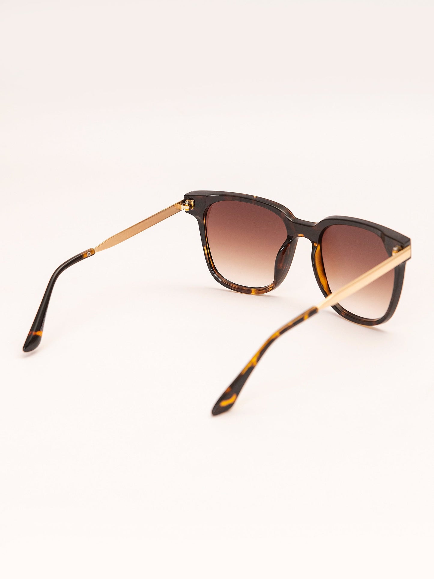 Wayfarer Sunglasses