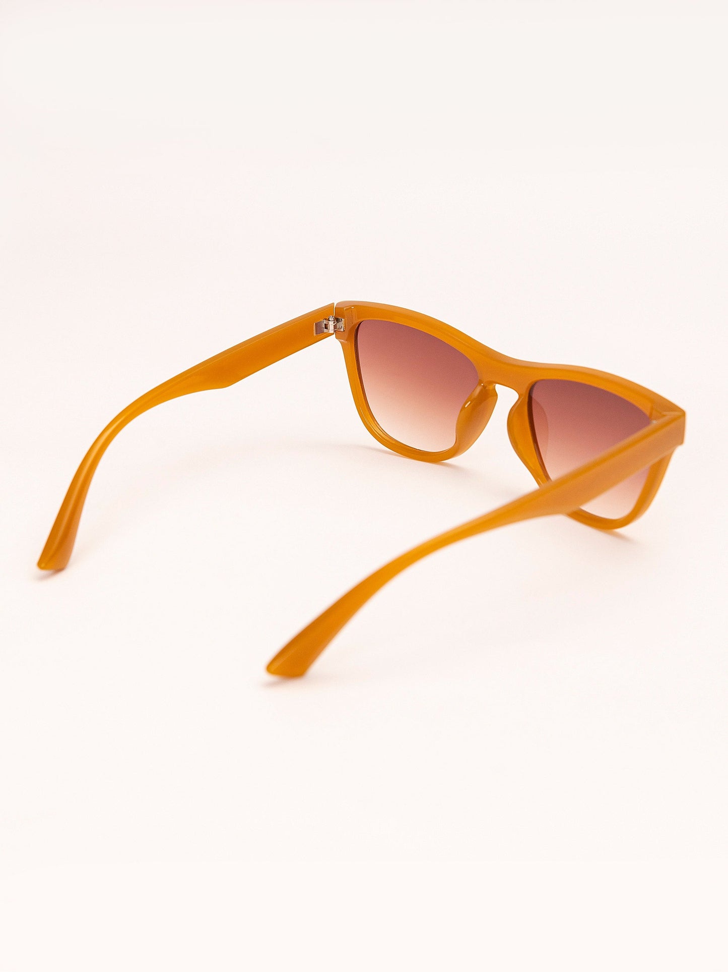 Wayfarer Sunglasses