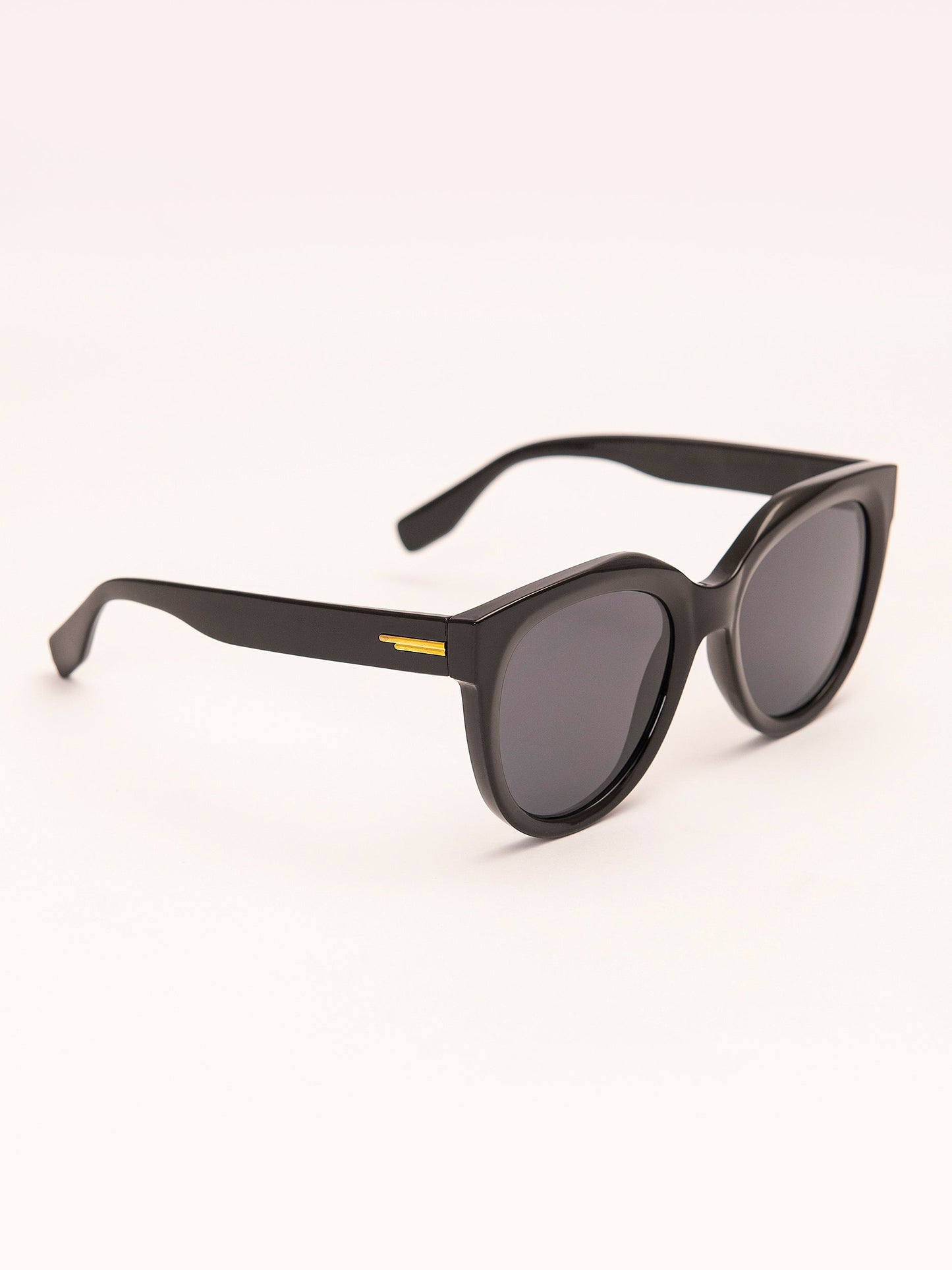 Wayfarer Sunglasses