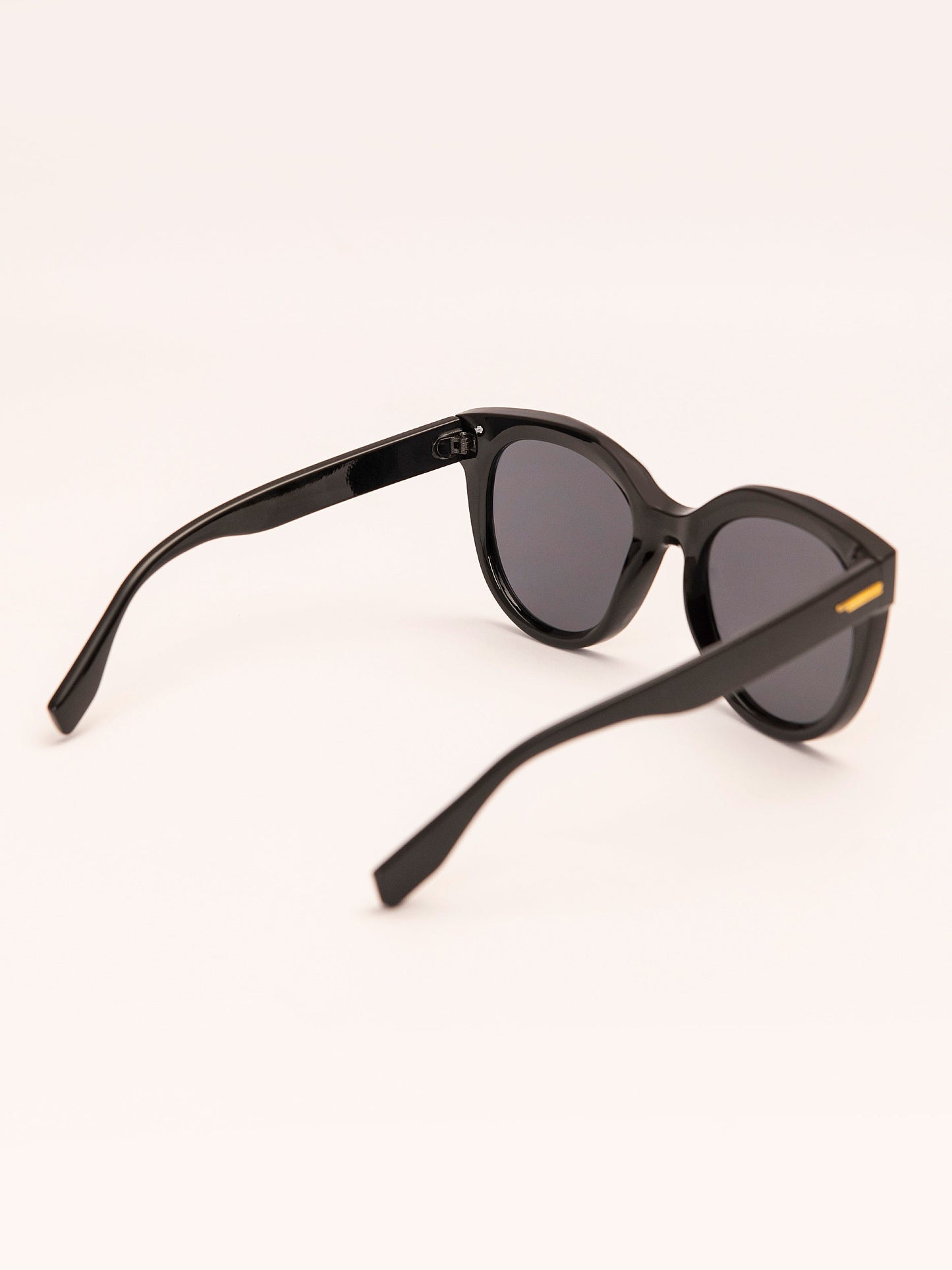 Wayfarer Sunglasses