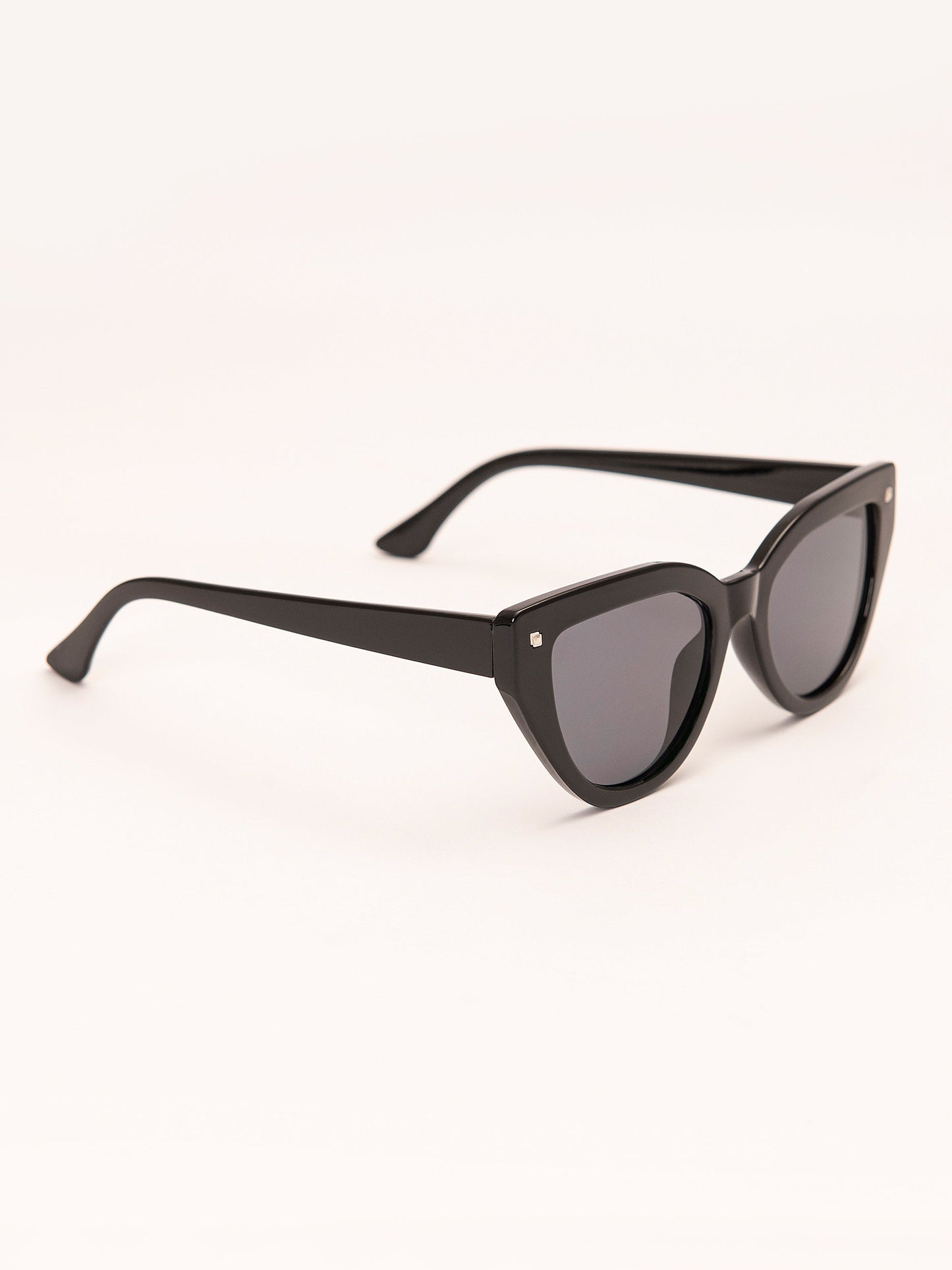 Wayfarer Sunglasses