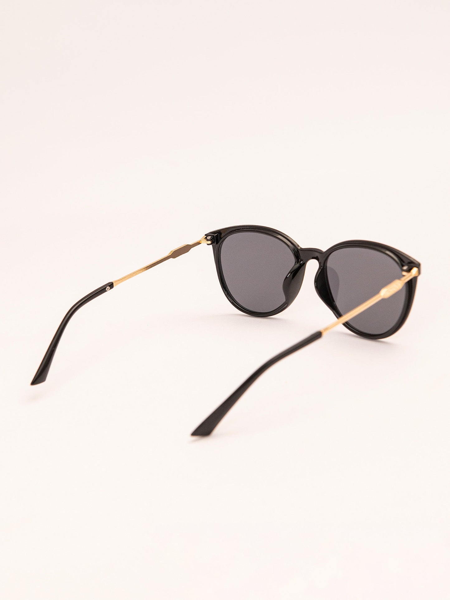 Wayfarer Sunglasses