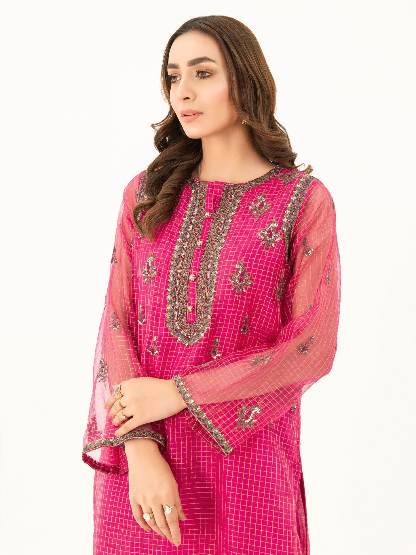 Embroidered Organza Suit