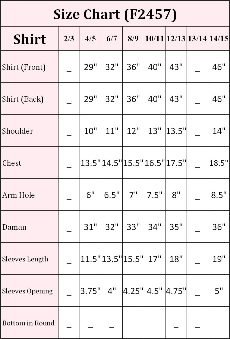 Embellished Chiffon Shirt